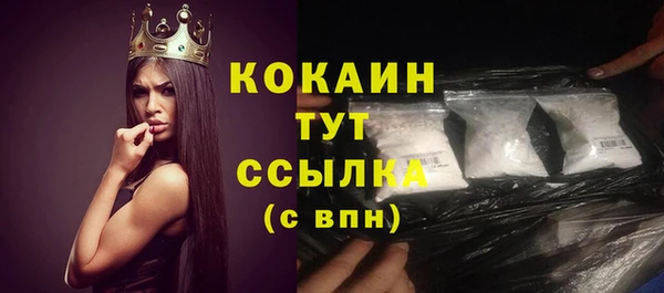 дмт Белокуриха