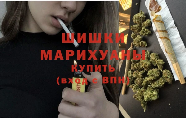 дмт Белокуриха