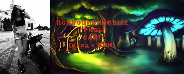 прущие грибы Беломорск